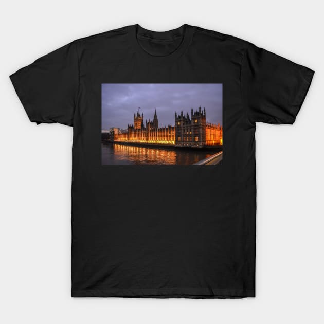 Palace of Westminster at night T-Shirt by lena-maximova